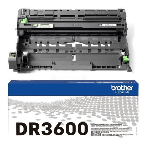 Brother boben (DR3600 /)